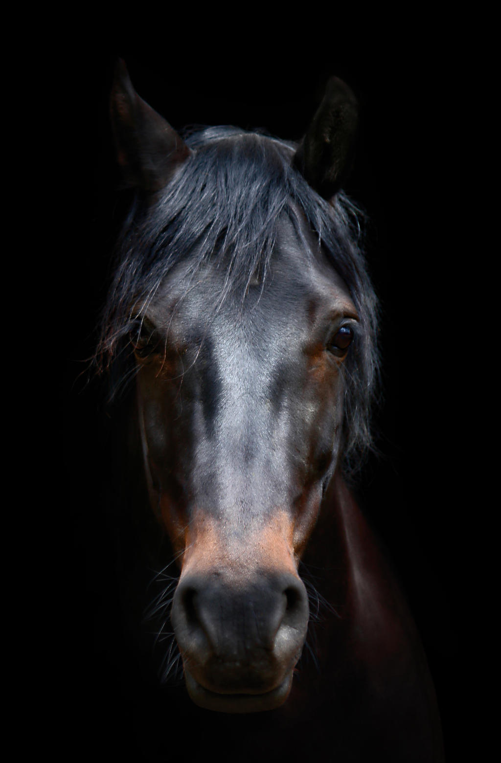 Darkness, Power and&nbsp;Beauty