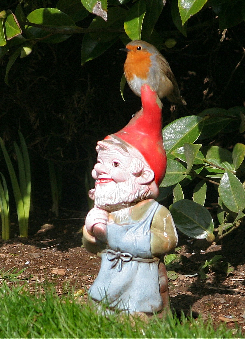 The Case of the Robin and the Gnome