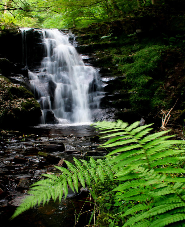 The Sound of&nbsp;Life