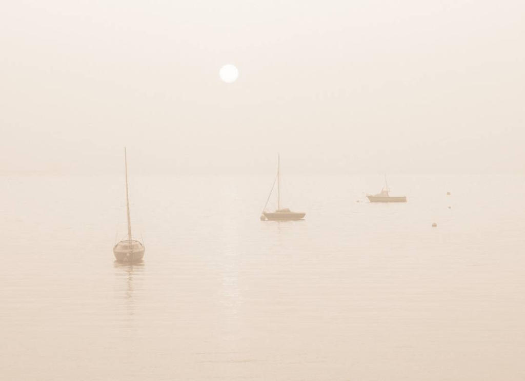 Sailing Through the Haze: A Day on the&nbsp;Water.