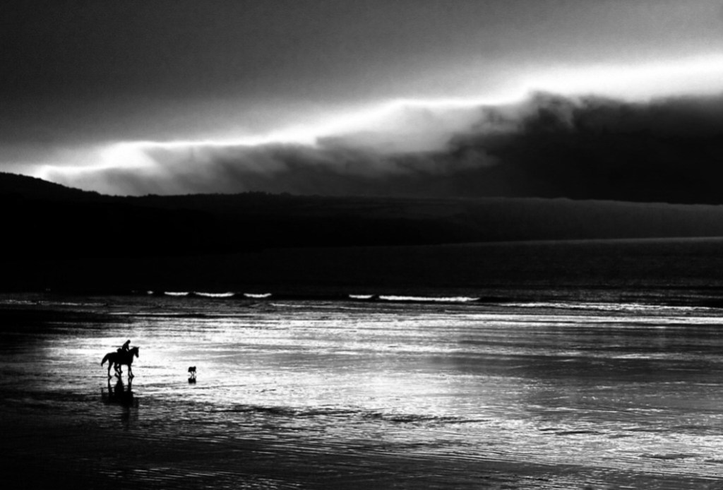 Horseback Adventure with my&nbsp;Dog