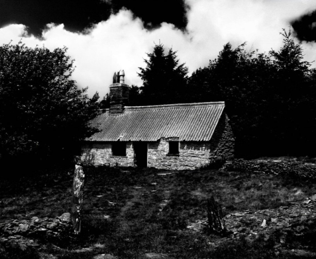 Secret in the&nbsp;Woods