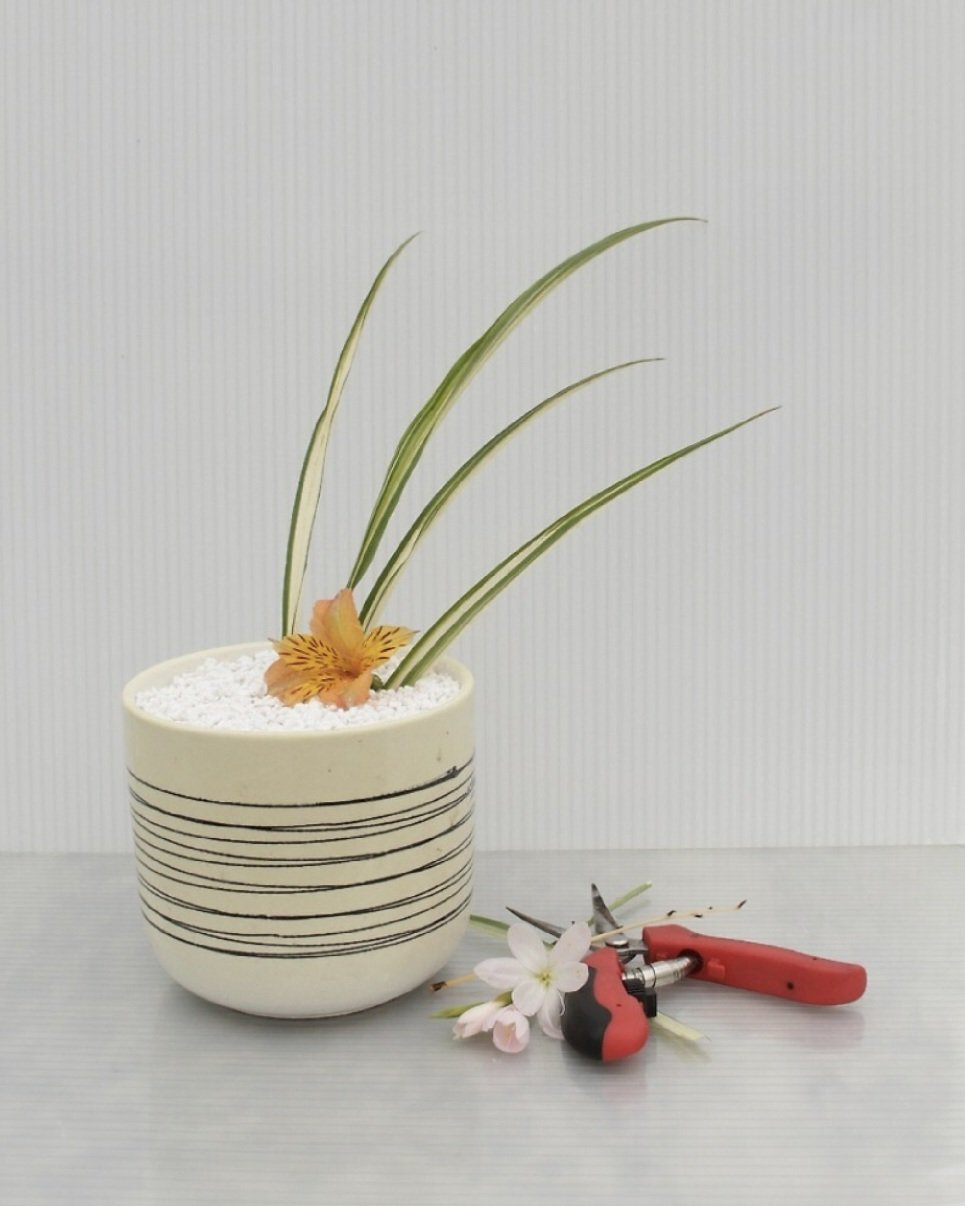 Ikebana