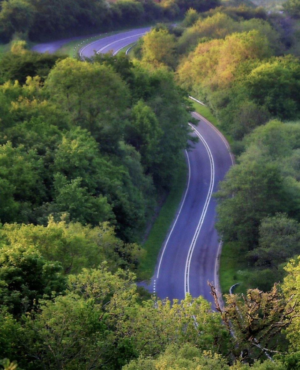 Life’s Winding Road