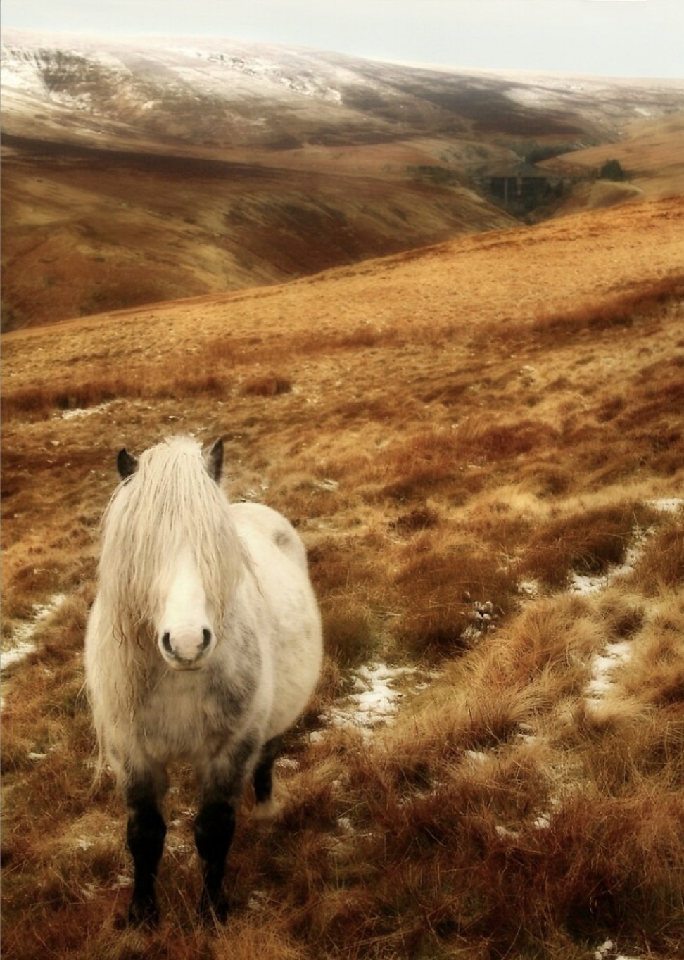 Discovering the Welsh&nbsp;Cob