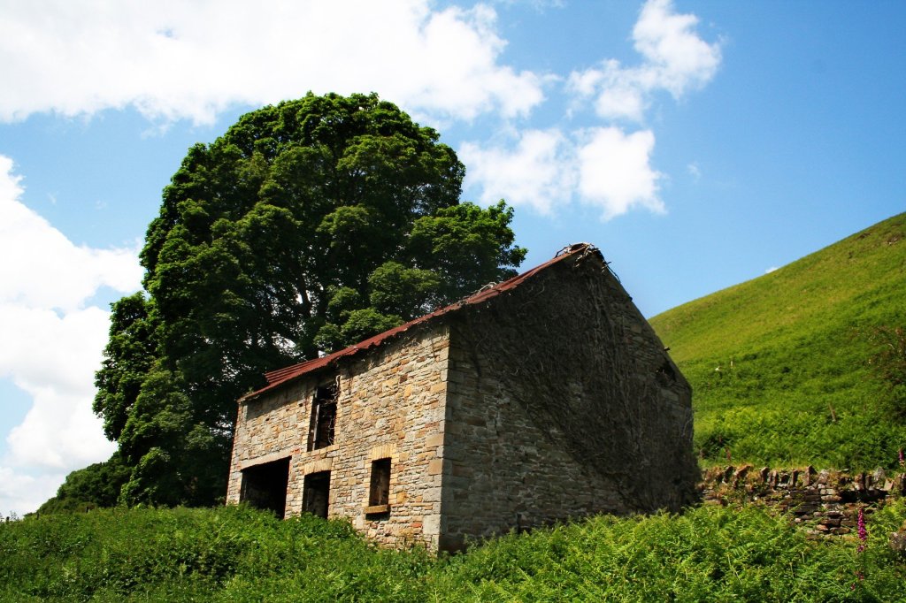 Dream Home – Just A&nbsp;Dream