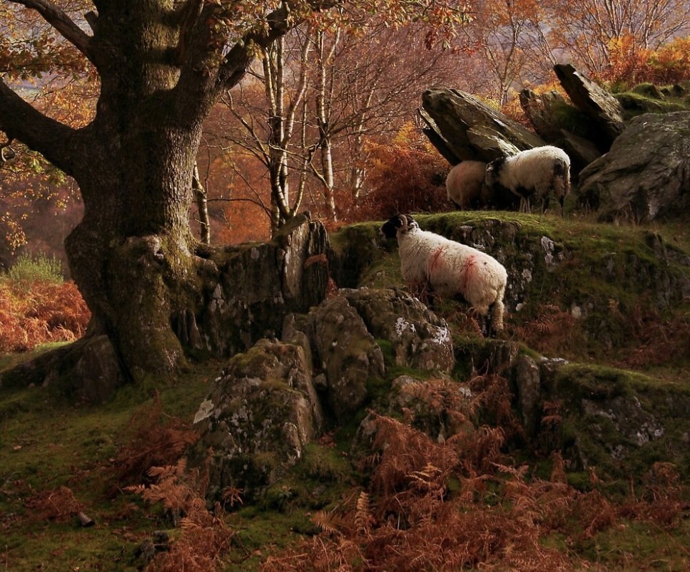 Grassroots Gathering