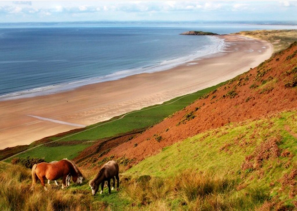 Memoir of a Winter&nbsp;Beach
