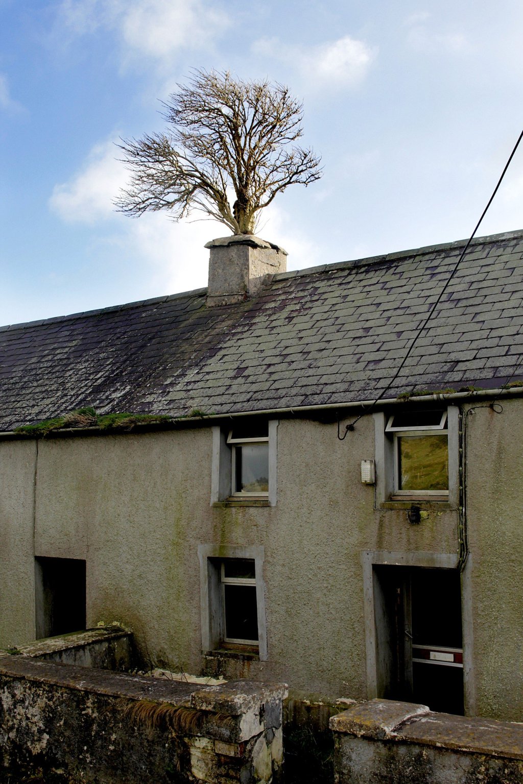 Nature finds a&nbsp;way