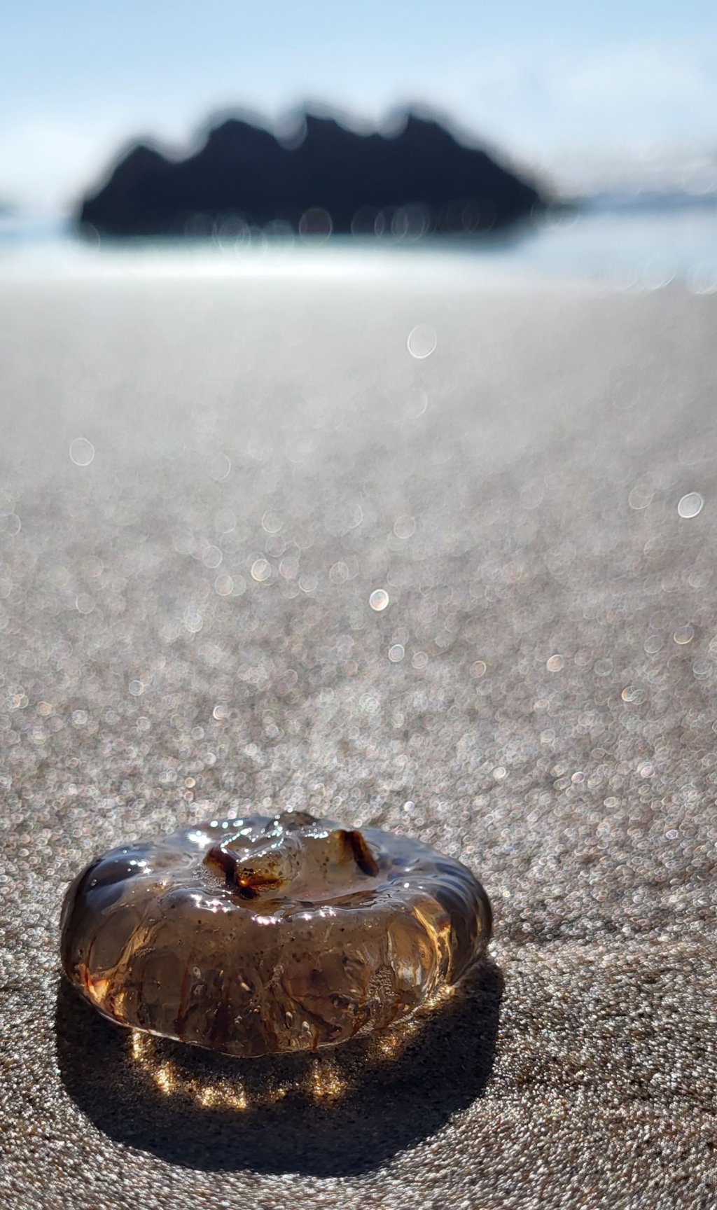 Unravelling the Mystical Myths of Jellyfish: Legends from the&nbsp;Deep