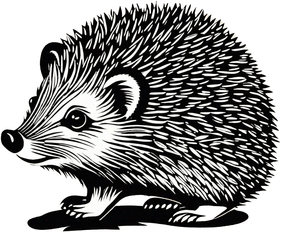 Hedgehog Species of the World