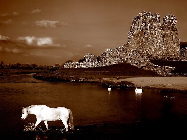 Lost Unicorn of&nbsp;Childhood