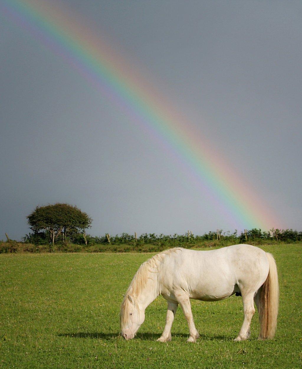 Through the Shutter’s&nbsp;Eye