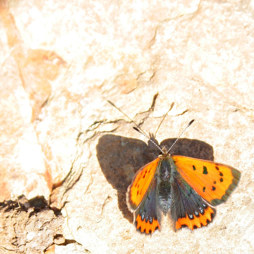 Tales of Tiny&nbsp;Whirlwinds