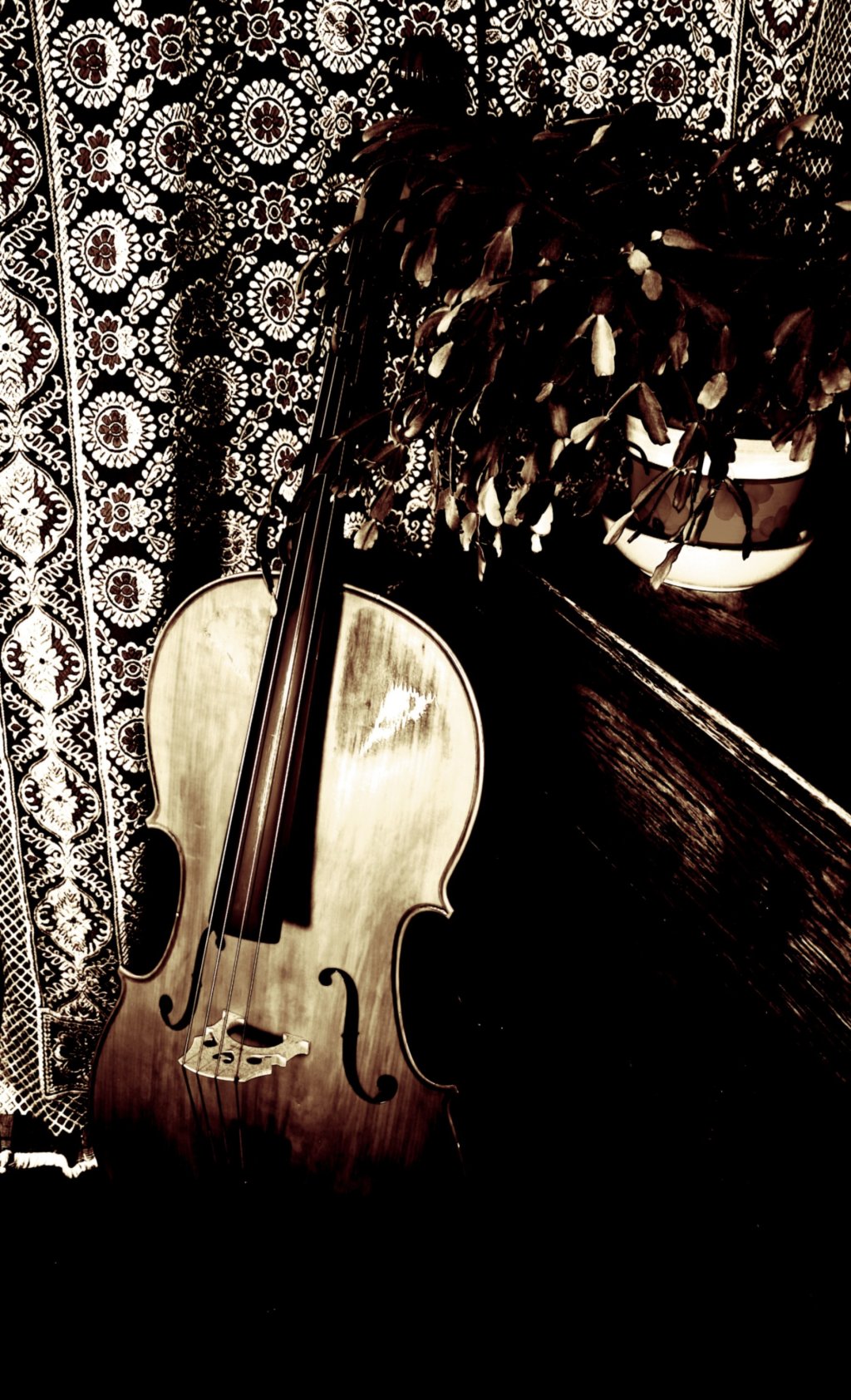 Hello to the&nbsp;cello