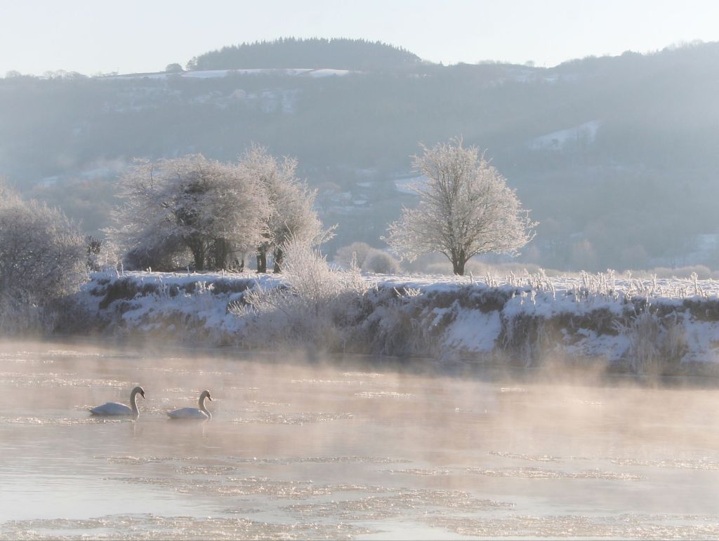 Frozen Flight of&nbsp;Fancy