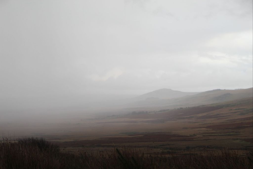 Beyond the White&nbsp;Veil