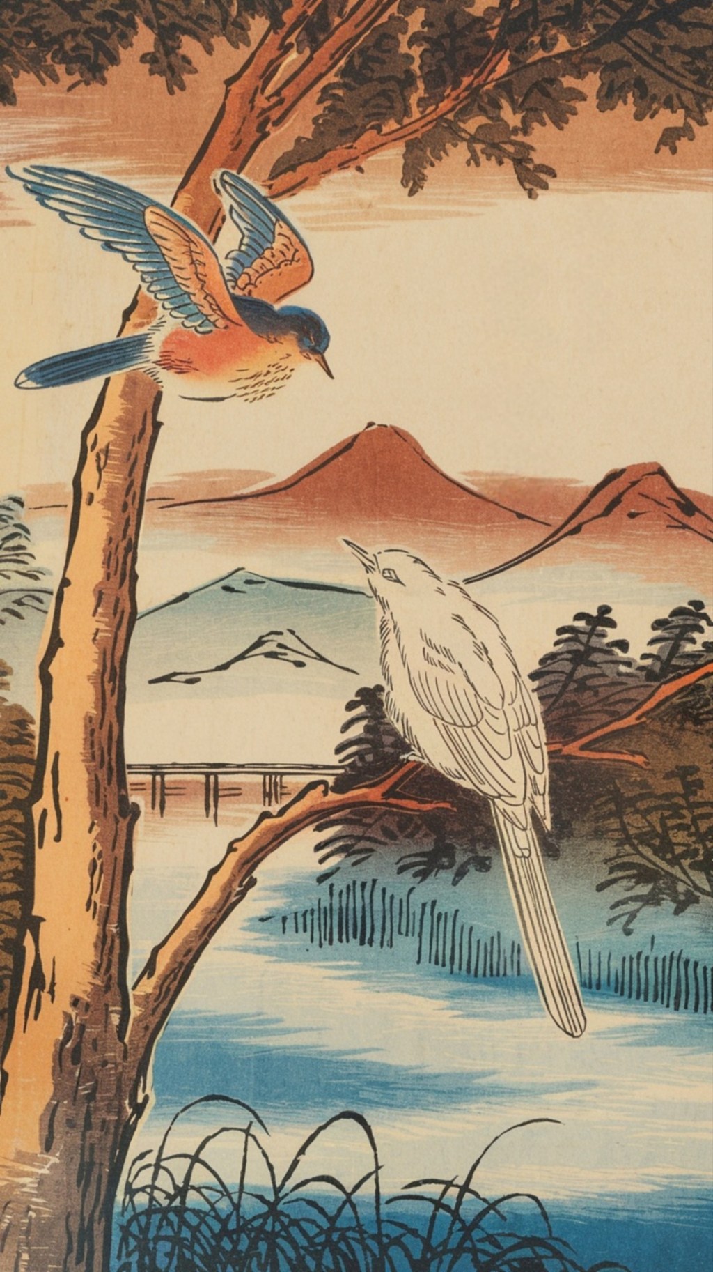 The Bird Who Became&nbsp;colour