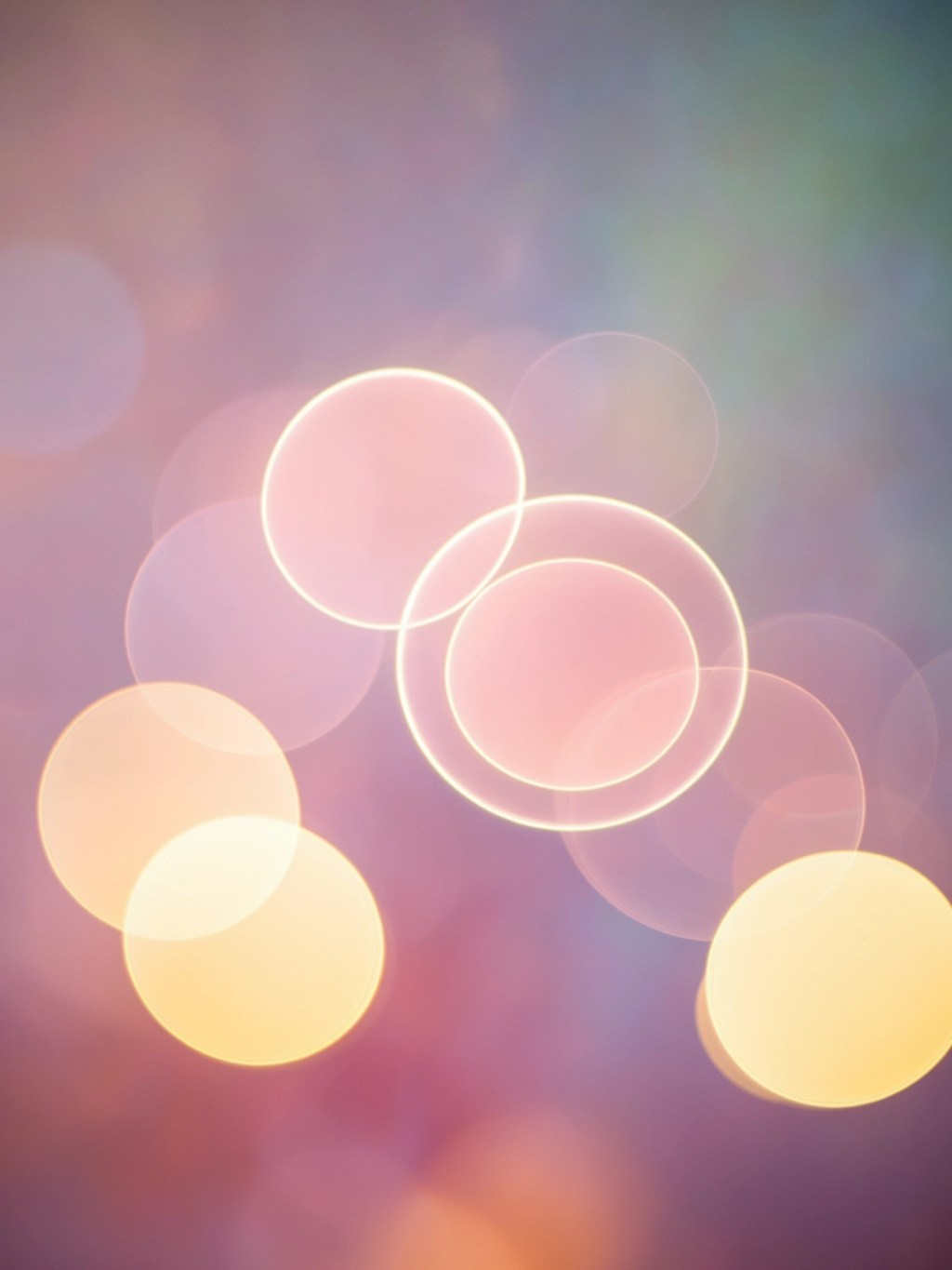 The Art of&nbsp;Bokeh