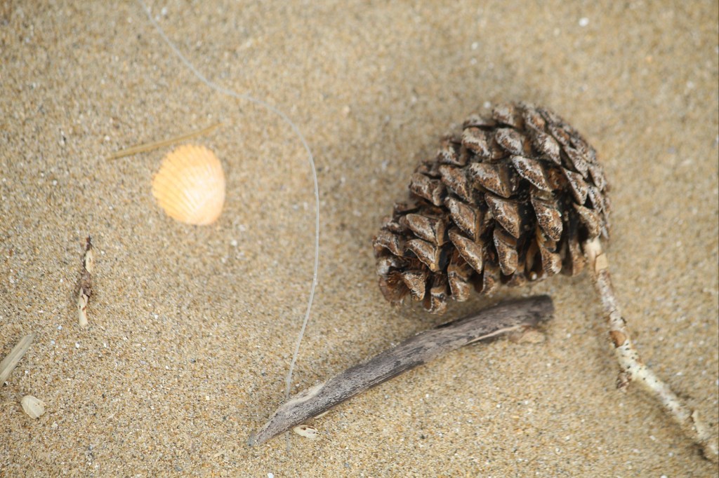 Inventory of the Tide&nbsp;Line