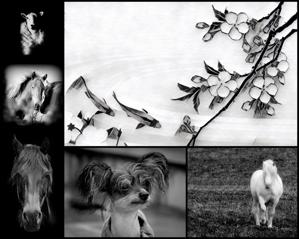 Animal collage