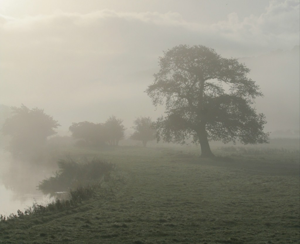 You Never Read the Same Book&nbsp;Twice